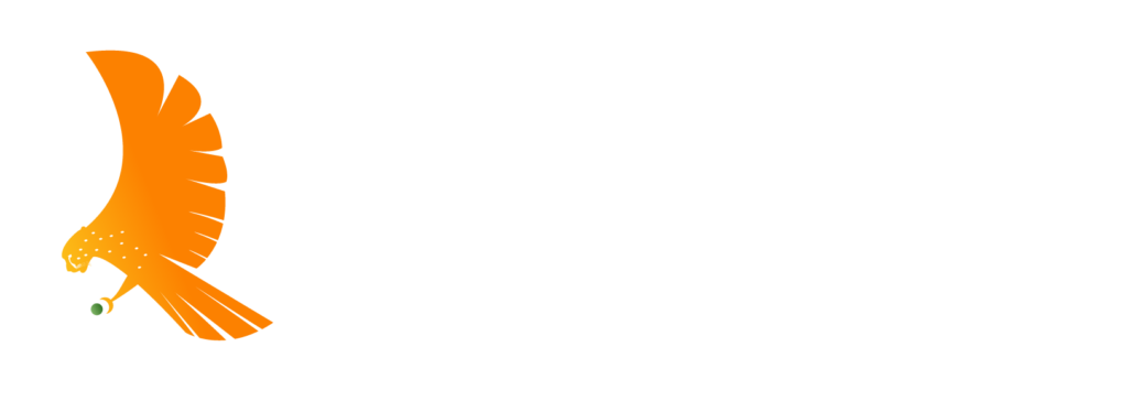 Reach Tools Logo